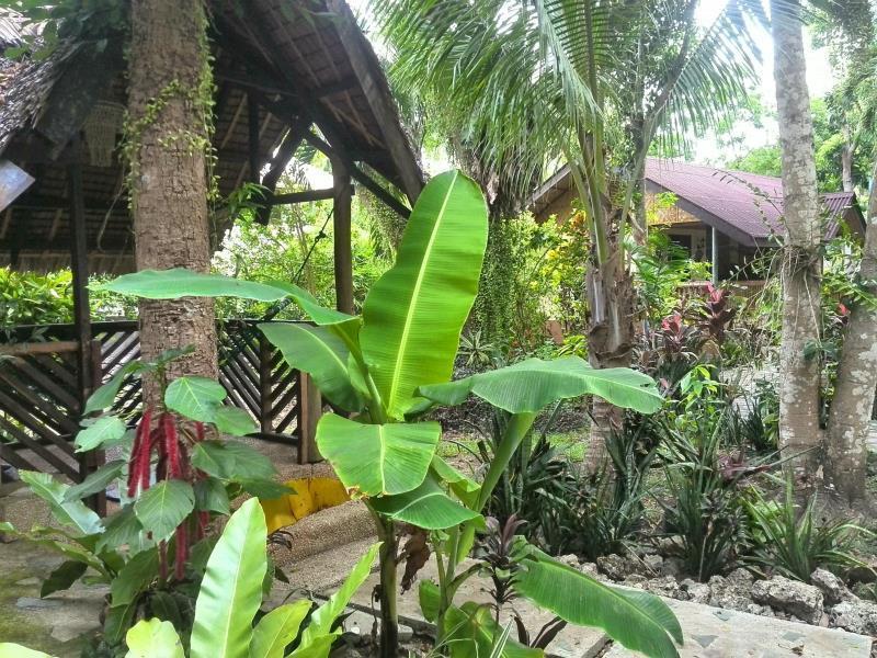 Bananaland Cottages Tawala  Exterior foto